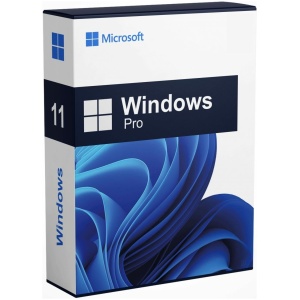 Windows 11 Pro - clé d'activation - licence à VIE